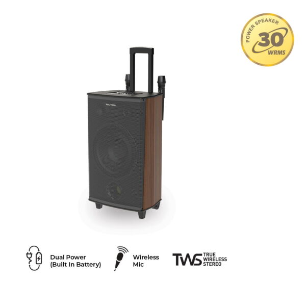 Polytron Professional Active Speaker PAS PRO12F6