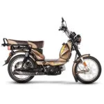 TVS XL100 - Solusi untuk Bisnis Pengantaran Parcel - Gambar 5