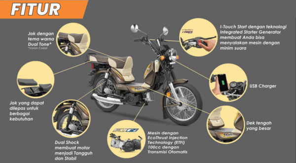 TVS XL100 - Solusi untuk Bisnis Pengantaran Parcel - Gambar 4