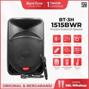 Baretone Portable Speaker BWR-series
